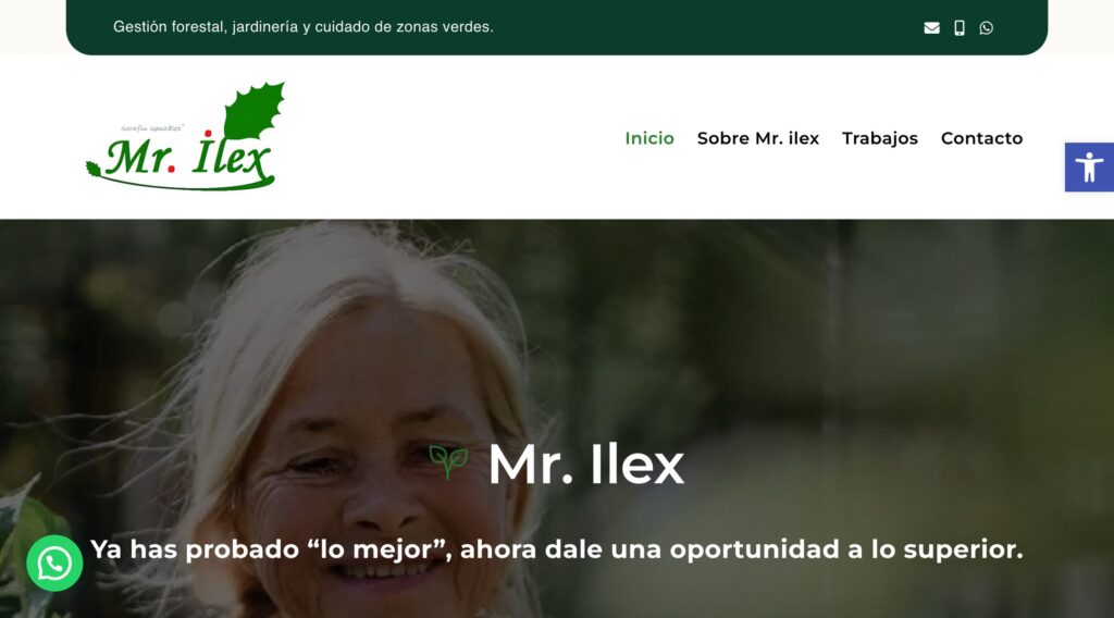 Mr. ilex